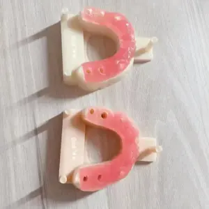 Dental Gum Resin for 3D Printing 200G 500G 5 Sb0934e8ae31b4997b826d0b32f71f5d8t