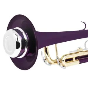 Sbcb7f3172e5f4b6ca6abeb58a411e8aeD 2