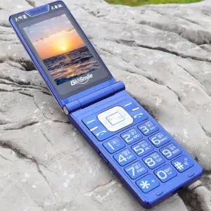 Dual SIM Flip Mobile Phone with 2.8 Inch Display 12 Sbea427cefd704b709fbb0bff3f10e8cc0