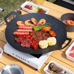 Portable Aluminum Grilling Pan for Outdoor Cooking 19 Sd3ea339c5fc44695b987e5a9fd19a2bdi