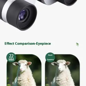 Sd41ffd74aba64d00a9f492d711db21bev