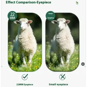 Se868404852214d1bb94fdf2708f6138fk