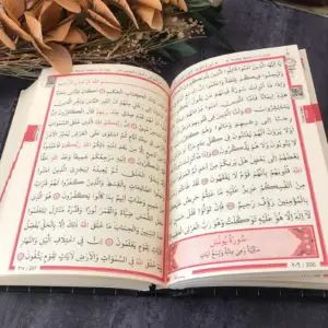 Luxury Holy Quran with Gold Detailing 16 U6bd67e3c0a264a5d9455ea45f27b92d6y