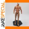 1/6 Scale Muscular Male Action Figure