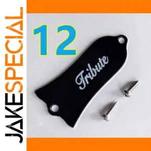 LP SG Electric Guitar Truss Rod Cover Plate