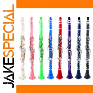 SLADE 17 Key Bb Clarinet with Case and Reeds