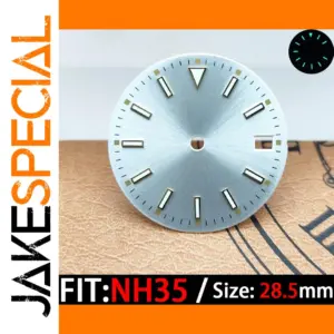 28.5mm Stainless Steel Luminous Watch Dial