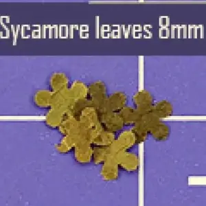 70d0dcd9fdf44921a741ffd2 upscaled