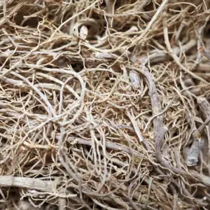 H0a27d0013350483eac361e70a5f80838N