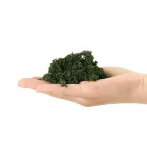 H9e359323e6cd4ce0b950279a21d9999dS