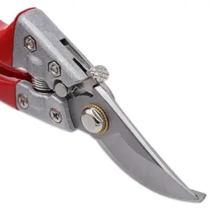 S0affdd6afc6d4e4c851db4929d3d2253V