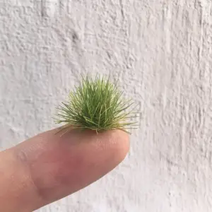 S0d6247f94d244c5595f17b7a643a3713l