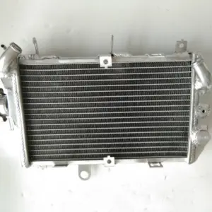 Aluminum Radiator Cooler for Suzuki Burgman 650 11 S1b803e51c29d41728f19e4fecd429b7fz
