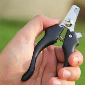 S2170d9e3cfda48b58565fe8109553f03R