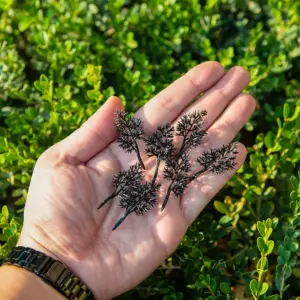 S232d7a79486c42ad8017468902484b4ao