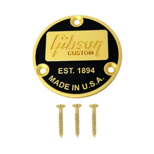 Guitar Toggle Switch Covers in Four Colors 17 S29eb5ae5fe024d4f8e67f890583a9383S