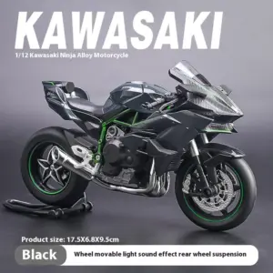 Kawasaki Ninja H2R 1:12 Model with Lights and Sounds 14 S2fb14934455e44749b5858b01fbd3254l