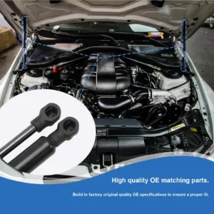 S31bd8f79f123440eaa2e6a001e6bb65a6