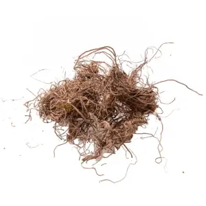 Simulation Tree Roots Vines Model for Dioramas 10 S33a6530791224f3aa0e97a9ec1a21b06y