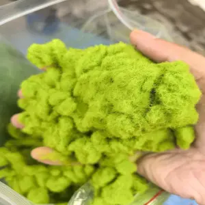 S351cf7df3e2e41b18ab5973a48f675496