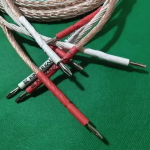 S3899b6f80eb9485fa0d4b9028a5aebe4l