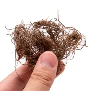 Simulation Tree Roots Vines Model for Dioramas 7 S41a7b364259d43e1a99a72af3be4f819C