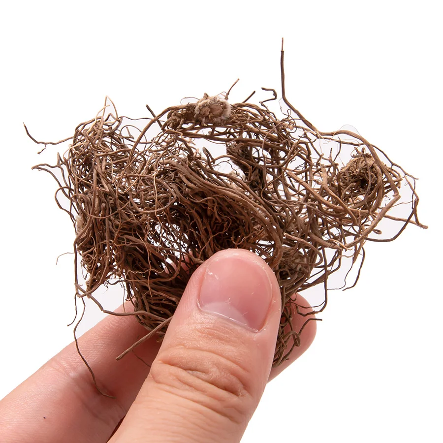 Simulation Tree Roots Vines Model for Dioramas 2 Simulation Tree Roots Vines Model for Dioramas - Image 2