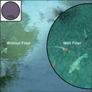 S4272959139344c2aaa07b47ff0d34b0cr