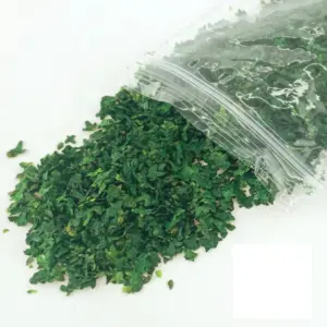 Miniature Leaves Set for DIY Models 33ml 22 S4af1dcc9b74746edb0bdf6b15e889f047