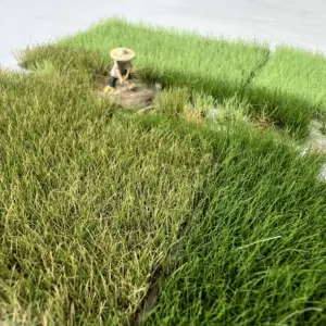 S4fa38d01dd274c36870d21fb0238b350m