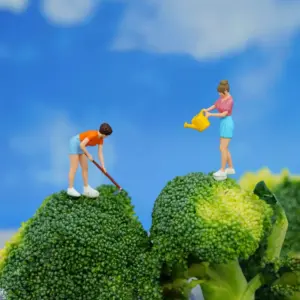 S4fcf3fd9078a43bbb8def152ac8c69280