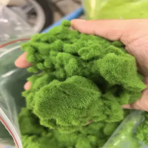 S510a55b4e6b0481392f2207d6088ec31D