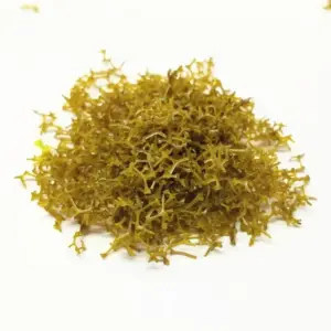 S516efd56e01d4830809baee35d13129eX