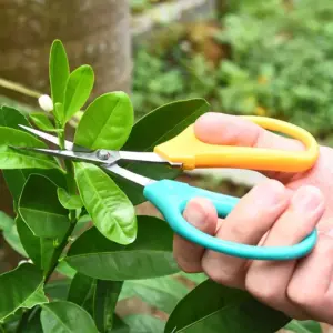 S59e431f5c6664a099a8f77e4d0bfc844P