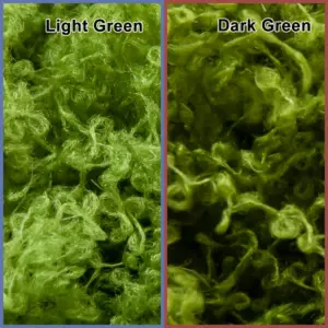 S5a650b49d7ac4f2d95a09592af2e0ab2U