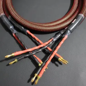 S5d68e62628554940a77cc6b89c83df00l