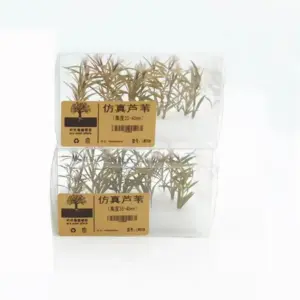 S5daae3a1c78c483687fe0f15e0575967Y