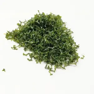 S5dbf4d70320a479fa58a2f1b2e3cc172O