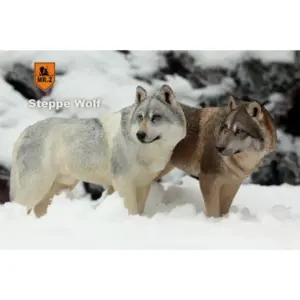 S60e4391b28814a75beb4dad6c2086729Y