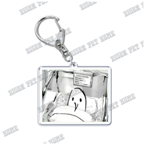 S6113d3084ad241978dd7b9492095c84dv