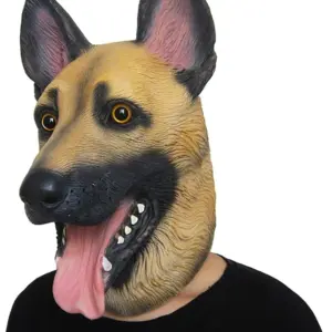 S6312358b040a40b897ba1382dfceea8be