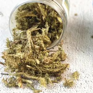 S6e676ebfaca644f68bd592446db56002y