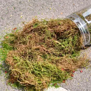 S787fd4c475ba41b99689194b3607d2d8x