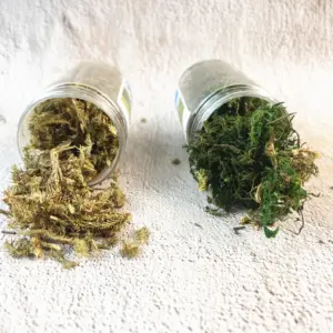 S7c1271ddecd8446d9ccf564edae136caz