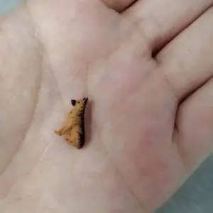 Resin Miniature Figures Set for Diorama 1:64 21 S7cfa261ad9644bf6af7aa707e1f04426D 1