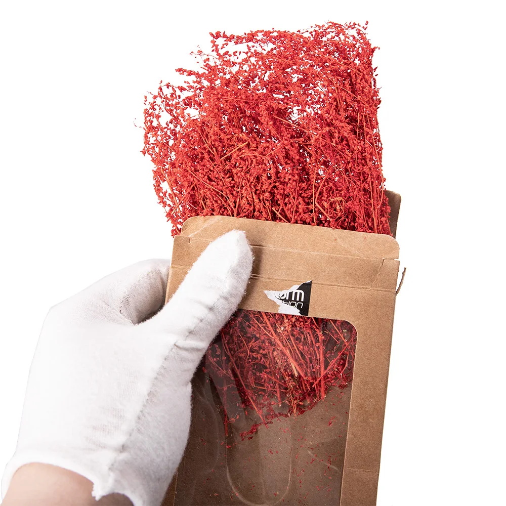 Miniature Plant Model Kit for Dioramas 3 Miniature Plant Model Kit for Dioramas - Image 3