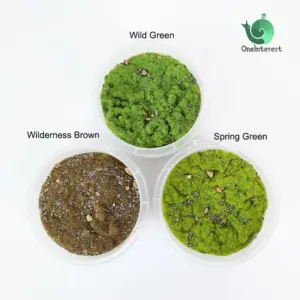 S9257280169374295a7bcdb3a64641eb79