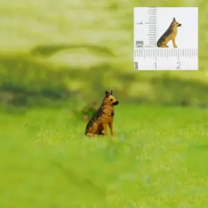 S94021216570148b68504085ad33079aaK