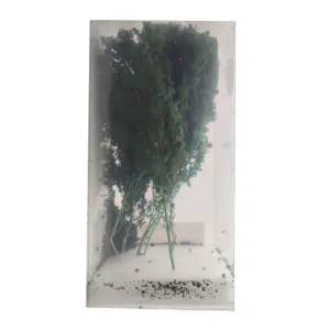 S94822916c78941f39f0a9a0389cf4f27V