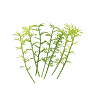 S981271f503224d4f9f64fa000234fa7fR